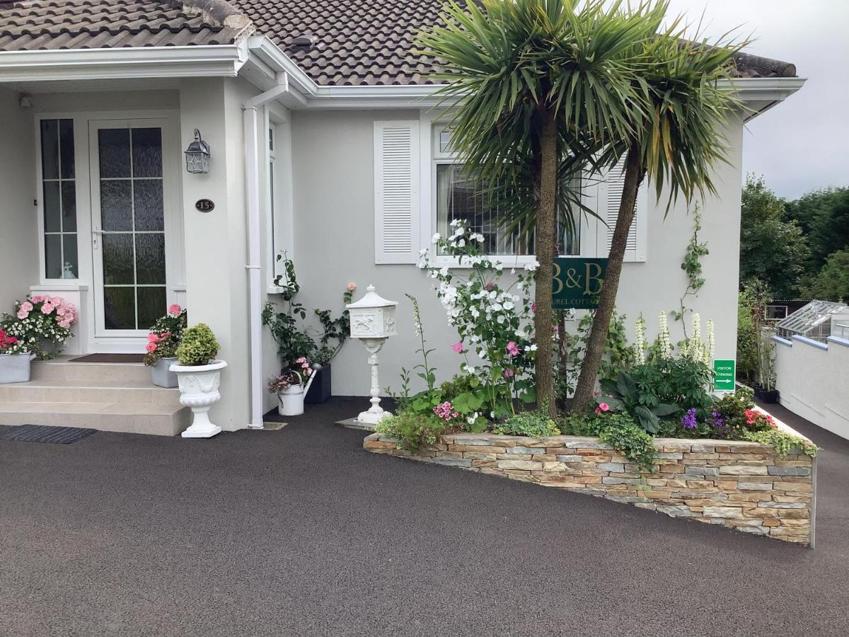 Laurel Cottage Ballymoney Exterior photo
