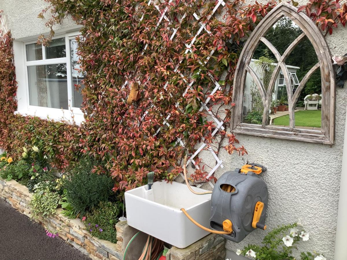 Laurel Cottage Ballymoney Exterior photo